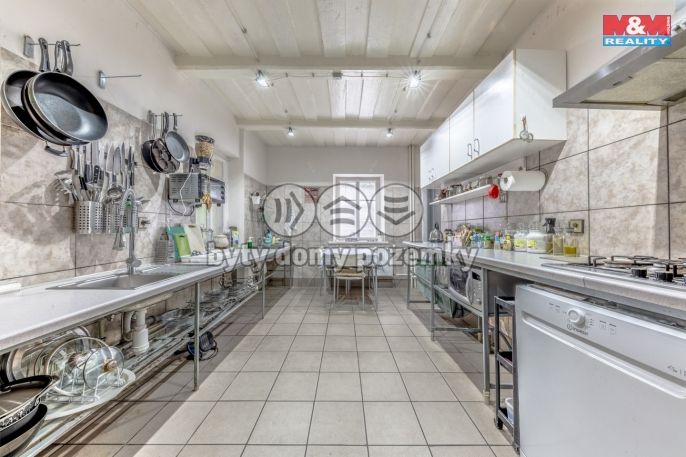 Prodej, Hotel, penzion, Krásná Lípa