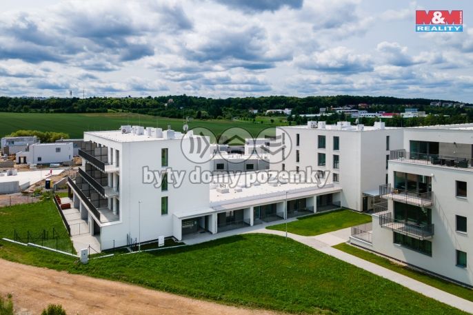 Pronájem, Byt 2+kk, Plzeň