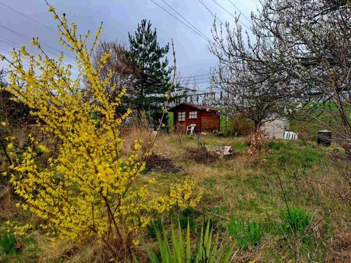 Prodej, Zahrada, Brno