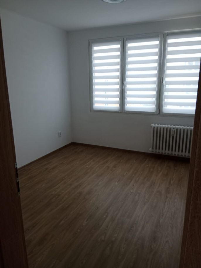 Pronájem, Byt 3+1, Veselí nad Lužnicí