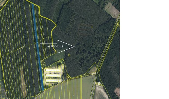 Prodej, Les, Městec Králové