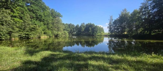 Prodej, Vodní plocha, Slezské Rudoltice