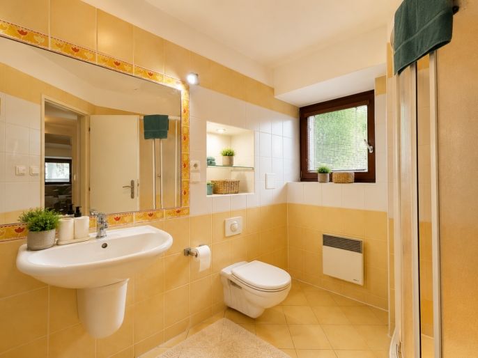 Prodej, Hotel, penzion, Nová Pec