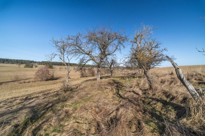 Prodej, Ostatní, Olbramov