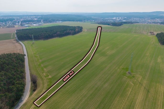 Prodej, Pole, Třemošná