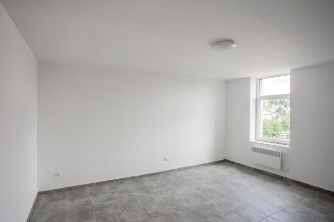 Pronájem, Byt 1+1, Sokolov