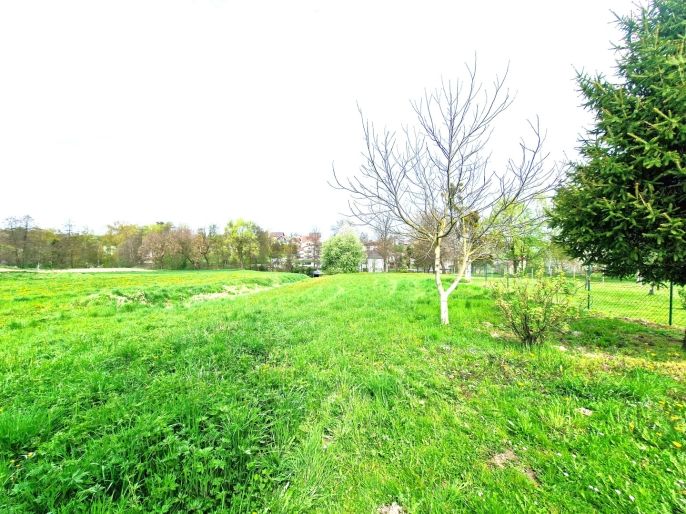 Prodej, Rodinný dům, Píšť