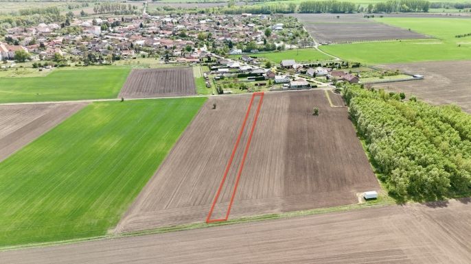 Prodej, Pole, Jevišovka