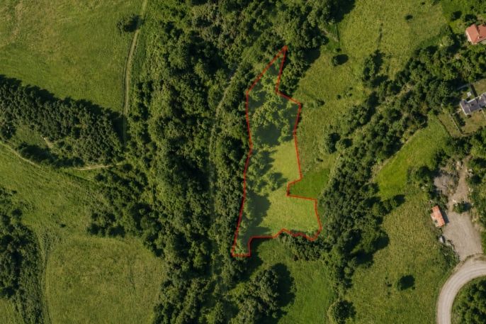 Prodej, Louka, Slavošov