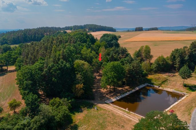 Prodej, Zahrada, Velký Bor