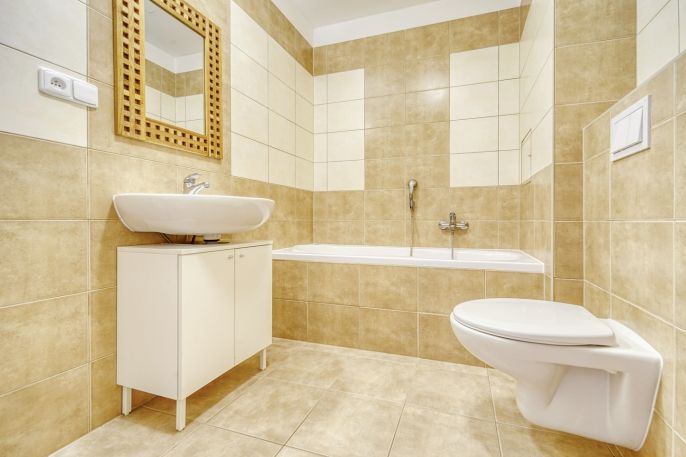 Pronájem, Byt 1+kk, Plasy