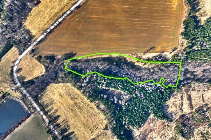 Prodej, Louka, Kadolec