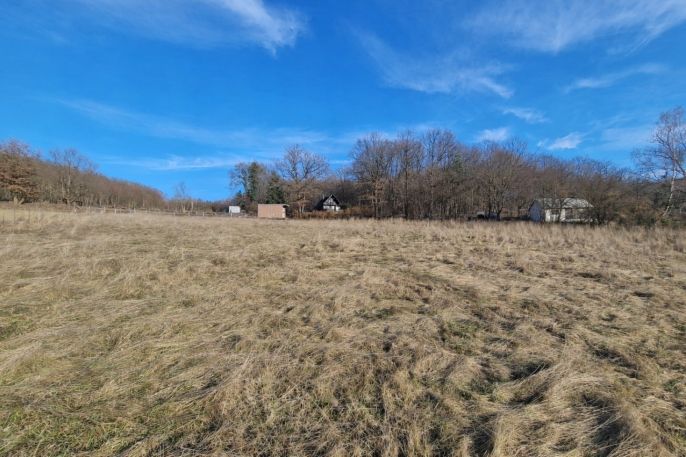 Pronájem, Louka, Petrov