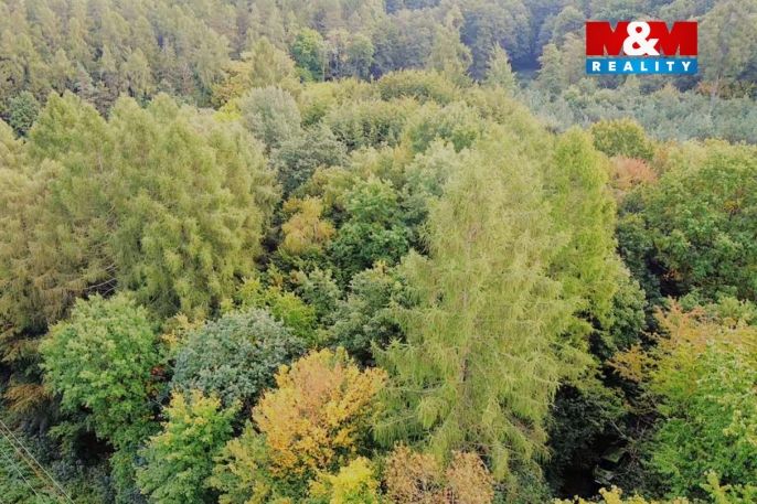 Prodej, Zahrada, Kostelec nad Černými lesy