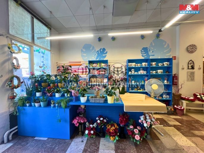 Pronájem, Obchod a služby, Bohumín