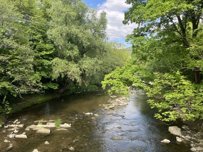 Pronájem, Rodinný dům, Návsí