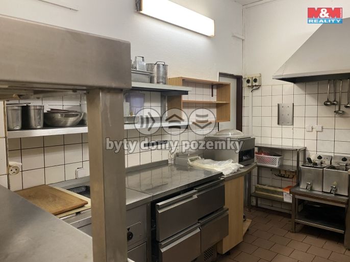 Pronájem, Obchod a služby, Opočno