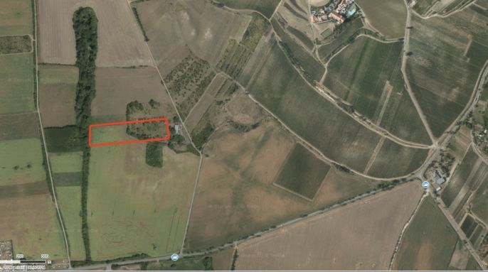 Prodej, Ovocný sad, Přítluky