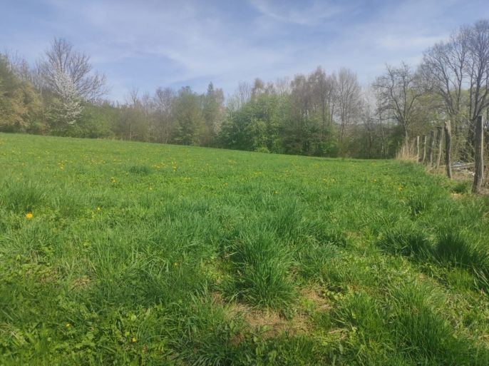 Prodej, Pozemek k bydlení, Velké Losiny