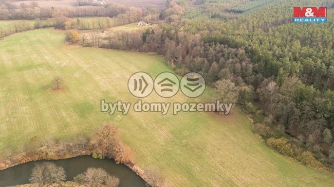Prodej, Pole, Týniště nad Orlicí