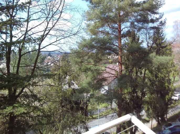 Prodej, Byt 1+1, Karviná