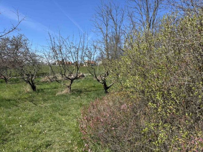 Prodej, Pozemek k bydlení, Tismice