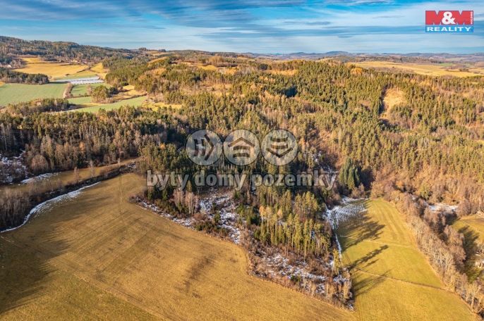 Prodej, Les, Malenice