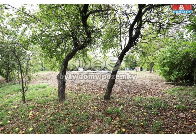 Prodej, Zahrada, Olomouc