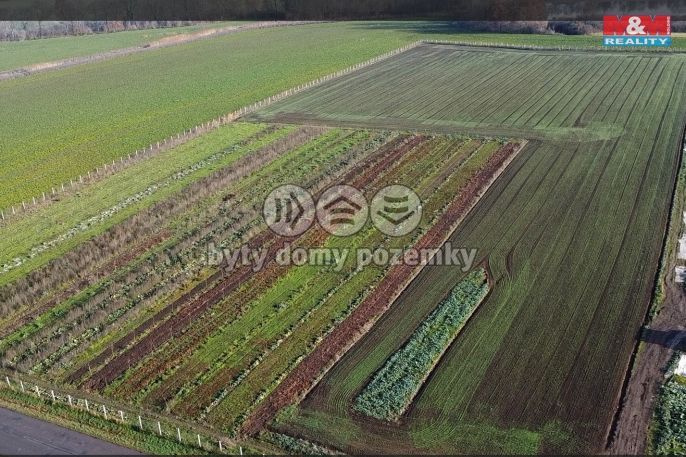 Prodej, Ovocný sad, Nové Dvory