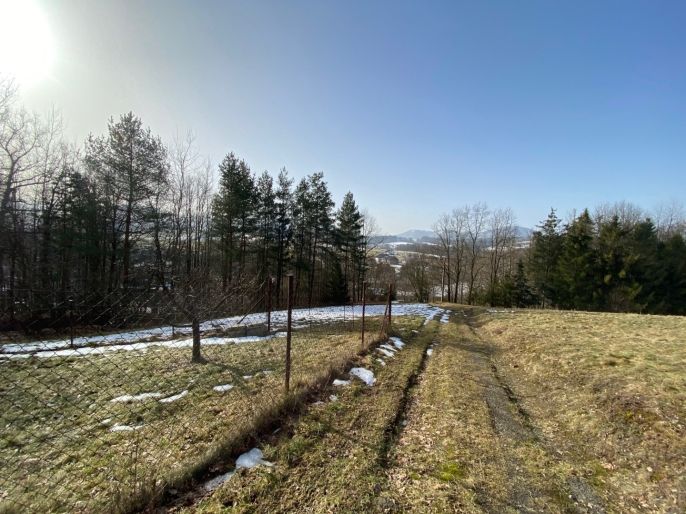 Prodej, Pole, Příbor