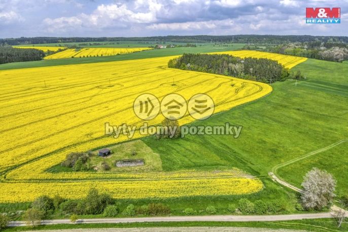 Prodej, Pole, Ostrov u Bezdružic