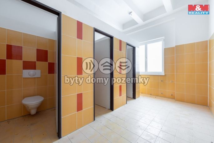 Prodej, Výrobní objekt, Rovná