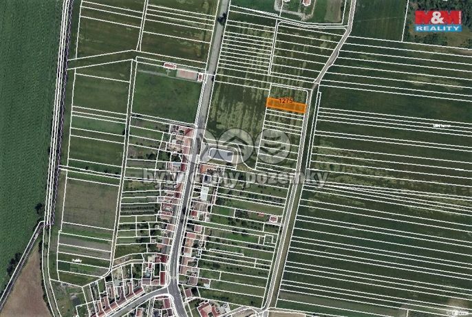 Prodej, Pole, Terezín