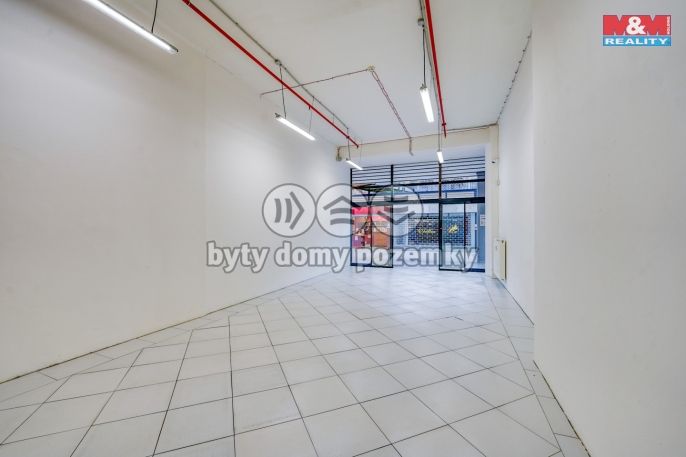 Pronájem, Obchod a služby, Plzeň