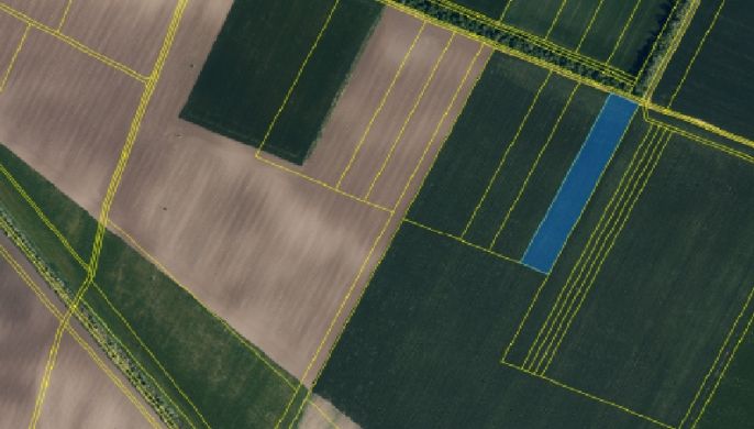 Prodej, Pole, Troskotovice