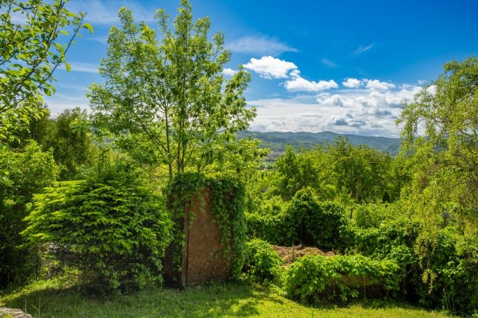 Prodej, Zahrada, Děčín