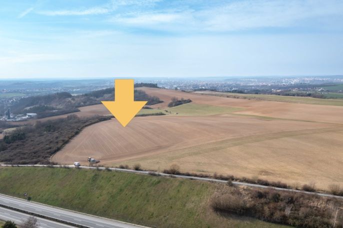 Prodej, Pole, Starý Plzenec