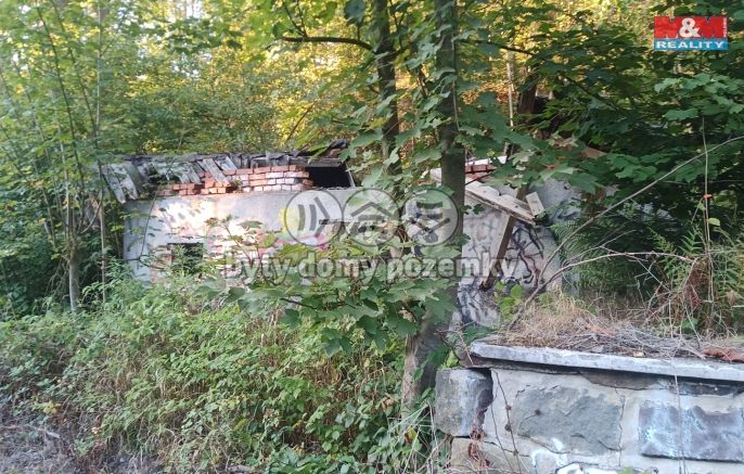 Prodej, Chata, Vítkov