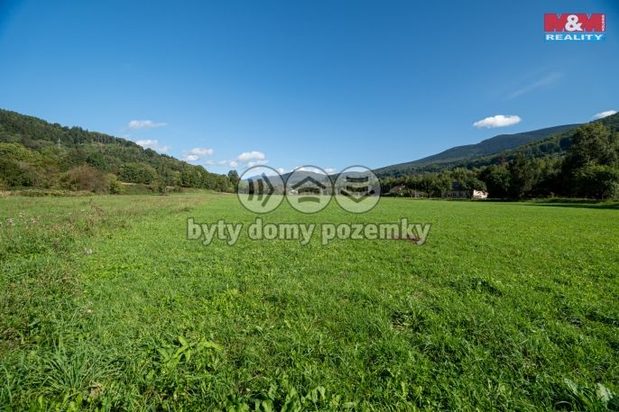 Prodej, Pole, Spělkov