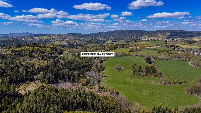 Prodej, Les, Železný Brod