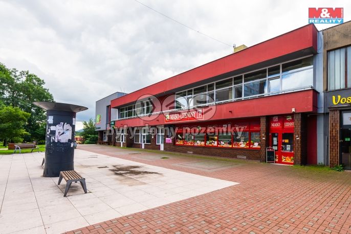 Prodej, Obchodní objekt, Český Těšín