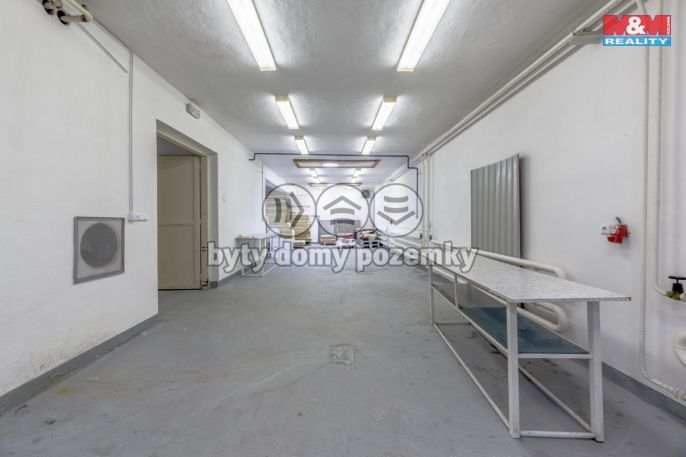 Prodej, Výrobní objekt, Kostelec nad Labem