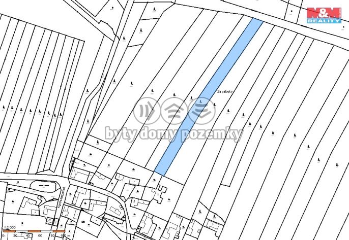 Prodej, Les, Dražíč