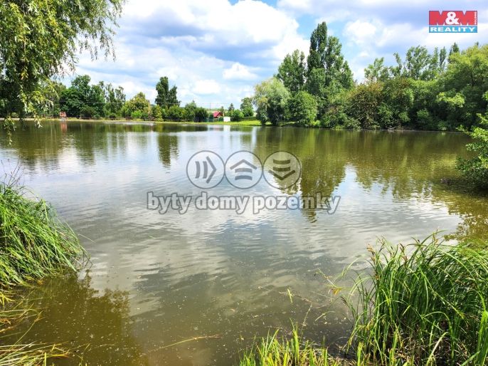 Prodej, Chata, Rokle