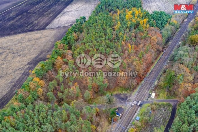 Prodej, Les, Lysá nad Labem