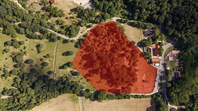 Prodej, Komerční pozemky, Ráby