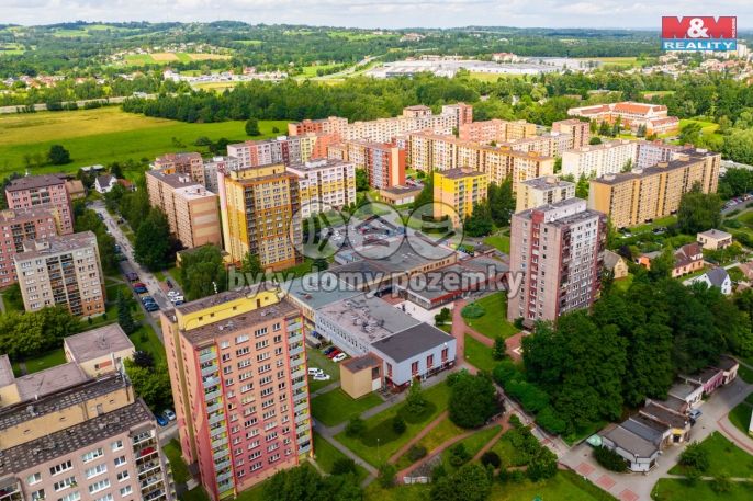 Prodej, Obchodní objekt, Český Těšín