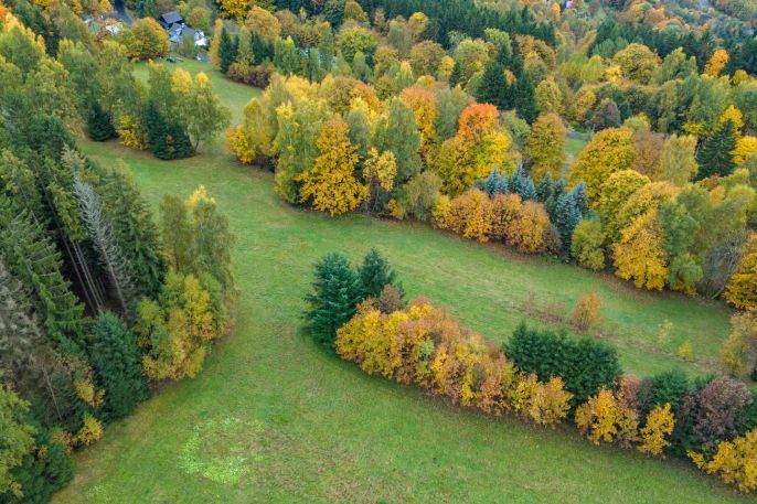 Prodej, Louka, Tanvald