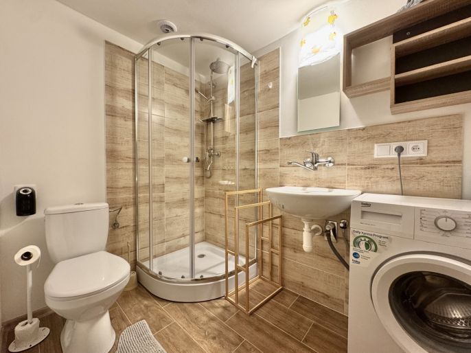 Pronájem, Byt 1+1, Beřovice