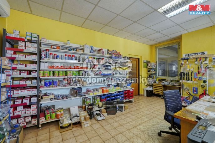 Prodej, Výrobní objekt, Chodová Planá